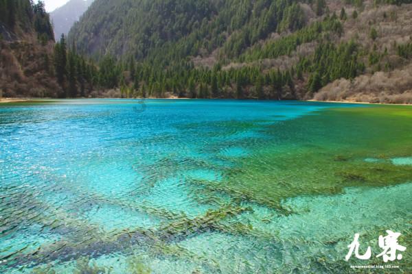 流放者柯南