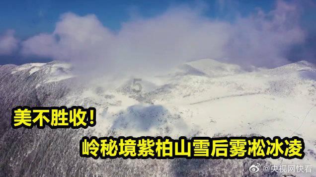 灵魂筹码