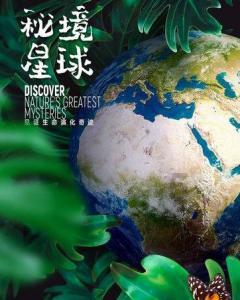 一起捕鱼吧