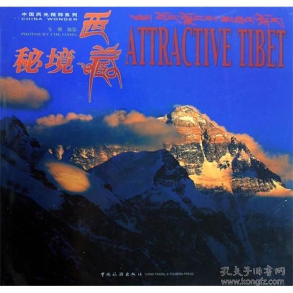 苏菲亚的休闲装