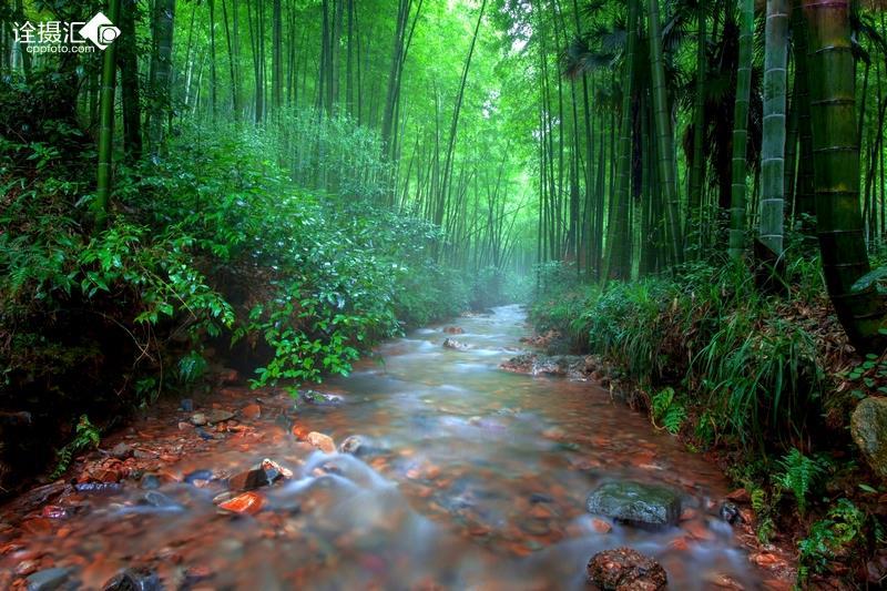 逃离地下古寺庙2