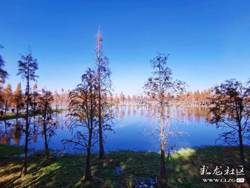 怎样才能跳槽不后悔？游戏画面