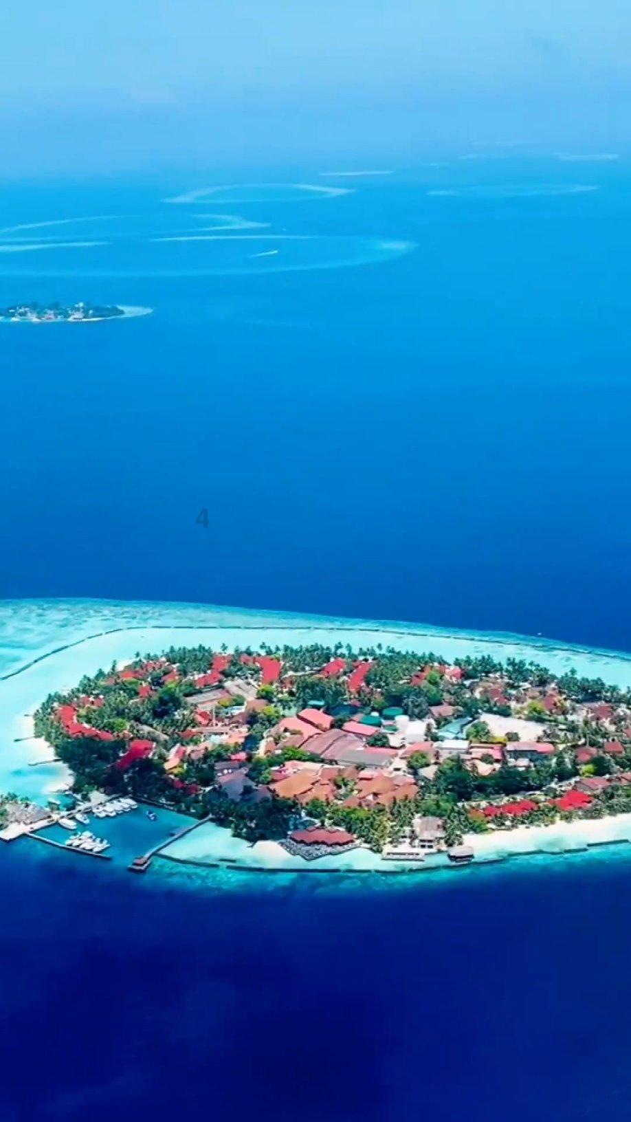 深海鱼救援