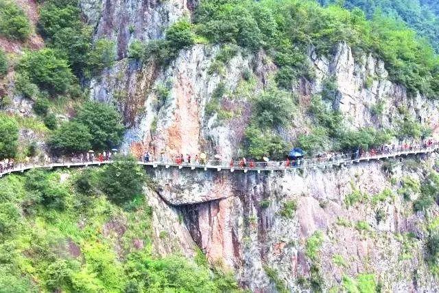冒牌“马小跳”“米小圈”圈钱上千万,里面竟含甲醛