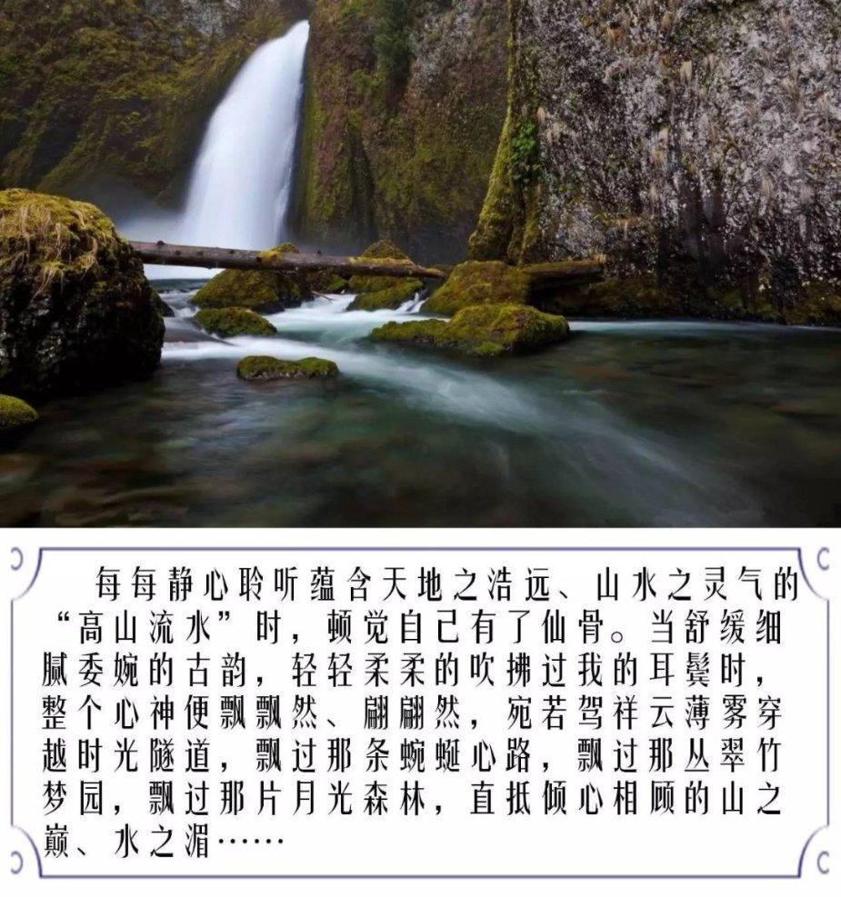 清蒸多宝鱼，肌肉白嫩，蛋白含量高