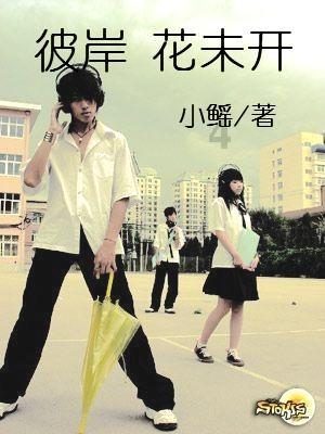 探探猫宝石岛2