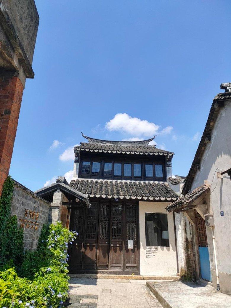 五彩鹦鹉救援