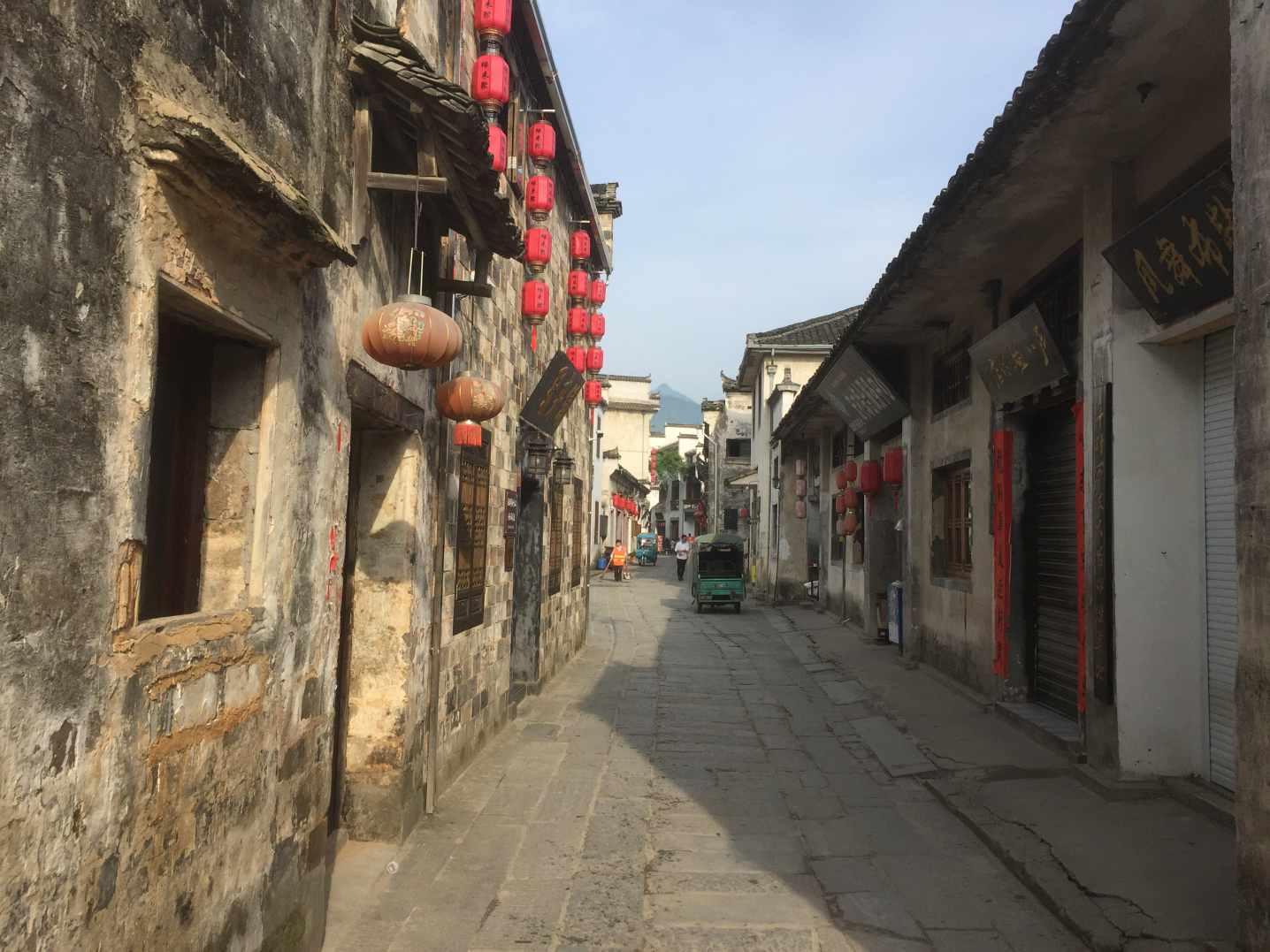 重生之玫瑰豪门