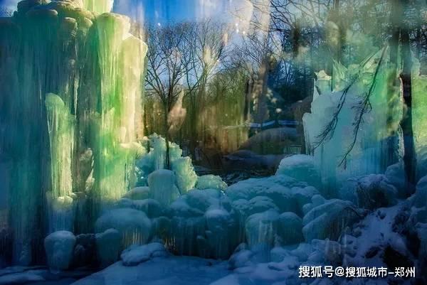 时尚小鸡救援